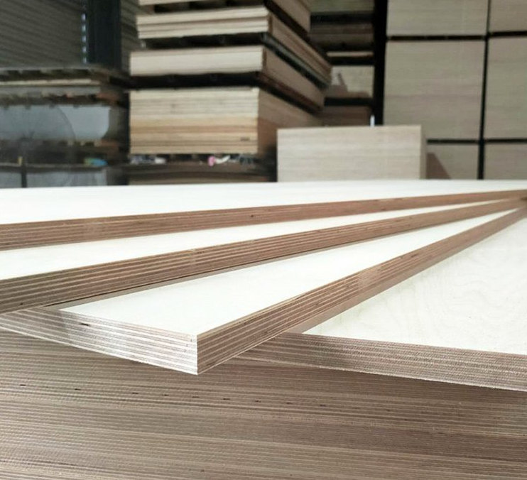 俄罗斯桦木免漆板